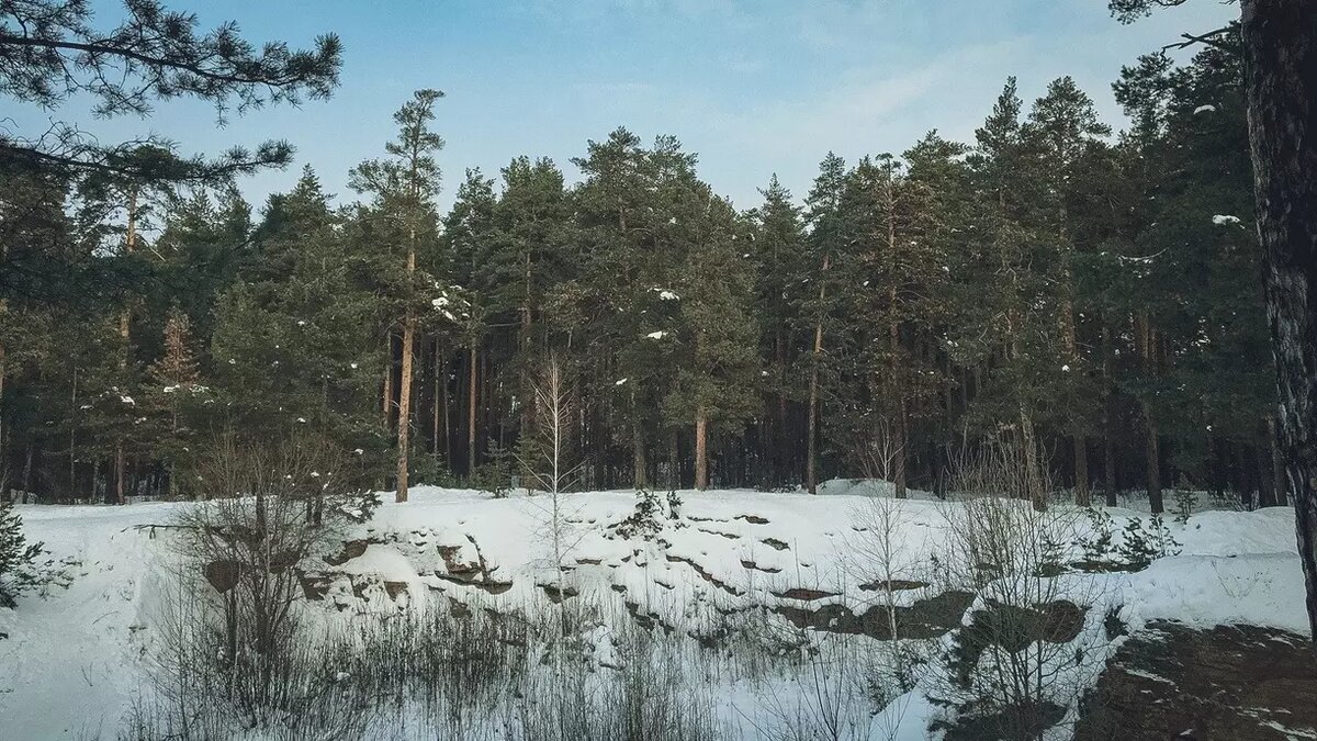     Источник: 1MI