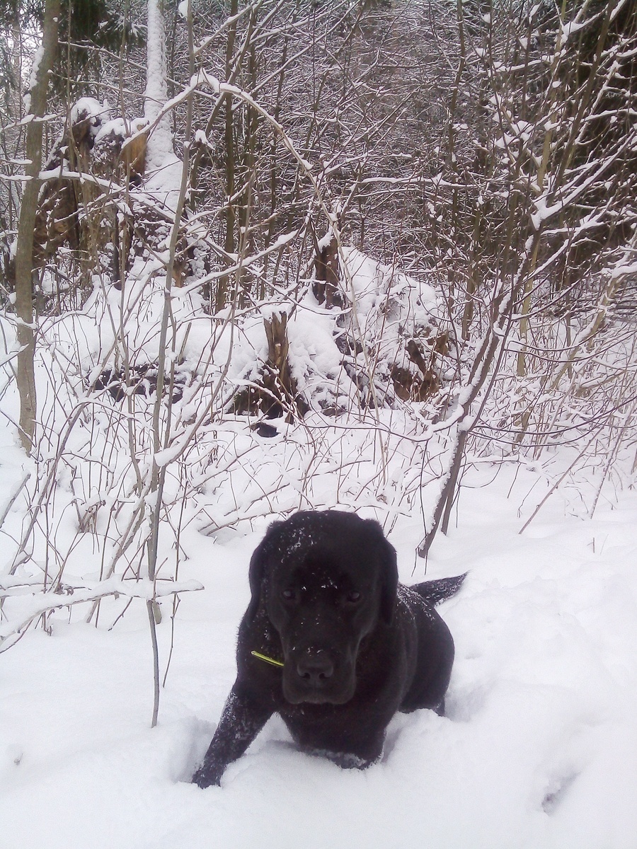 Фото автора.