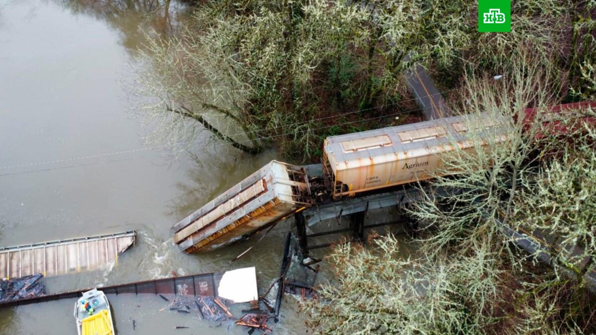    Фото: соцсети