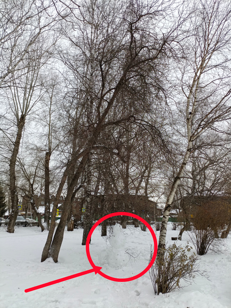 Снежная баба - белка, с пушистым хвостом...