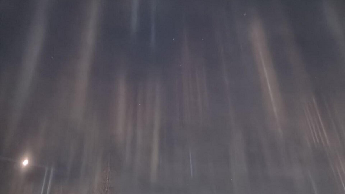    Фото: соцсети