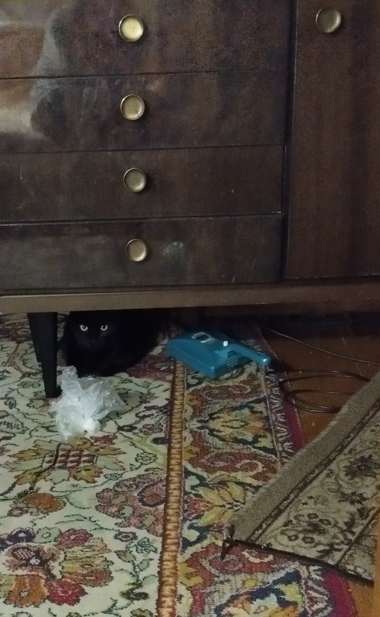 Осуждающий взгляд 