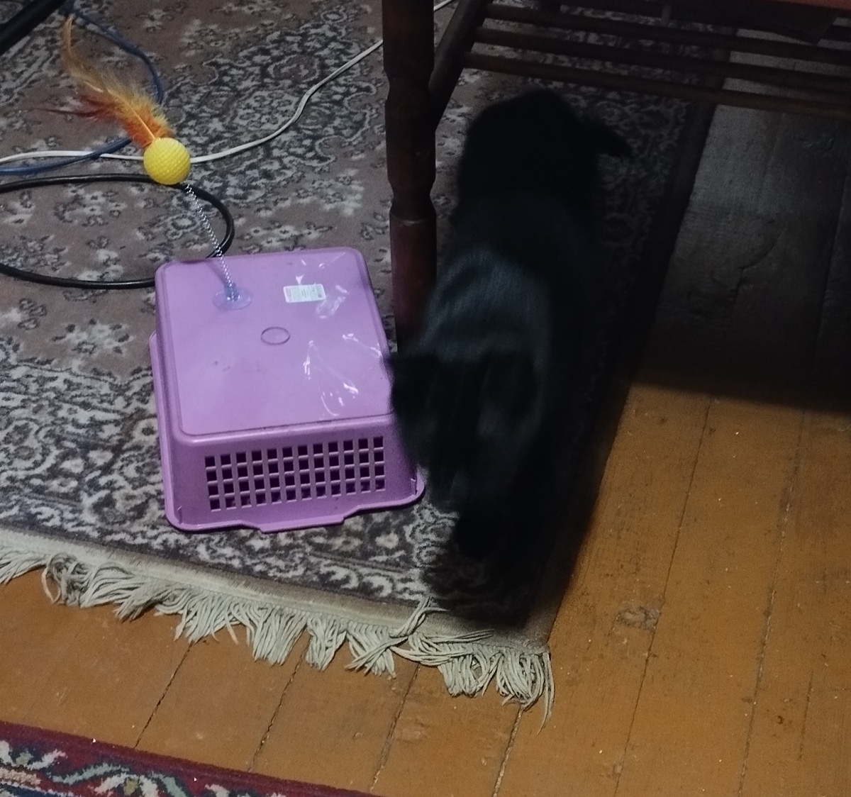 Вроде тихо, можно выходить 