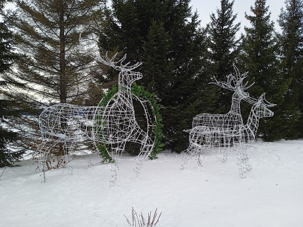    Фотография Анны Зубаревой