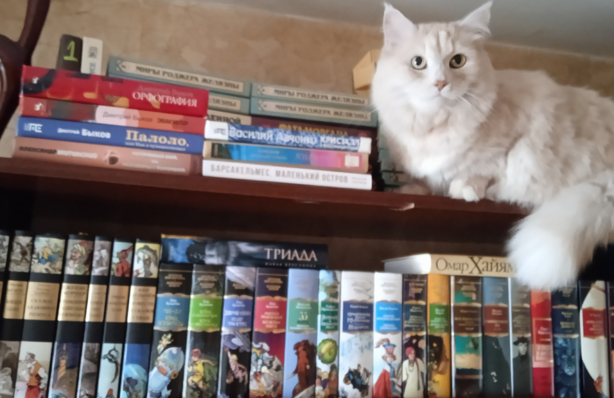 Кот Белотихон.