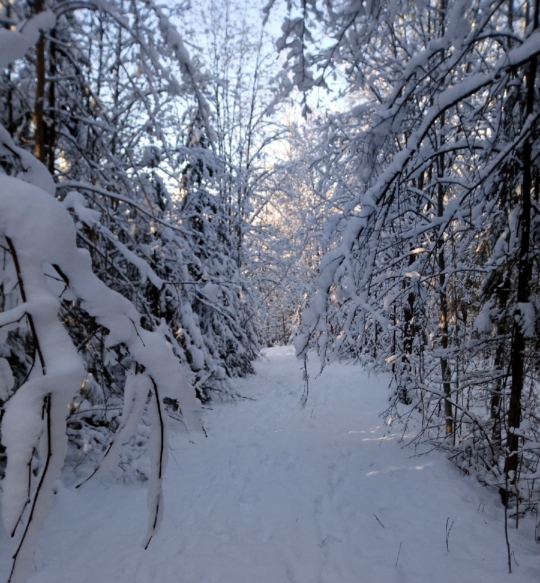 Всюду загадочные тропки и таинственные заросли