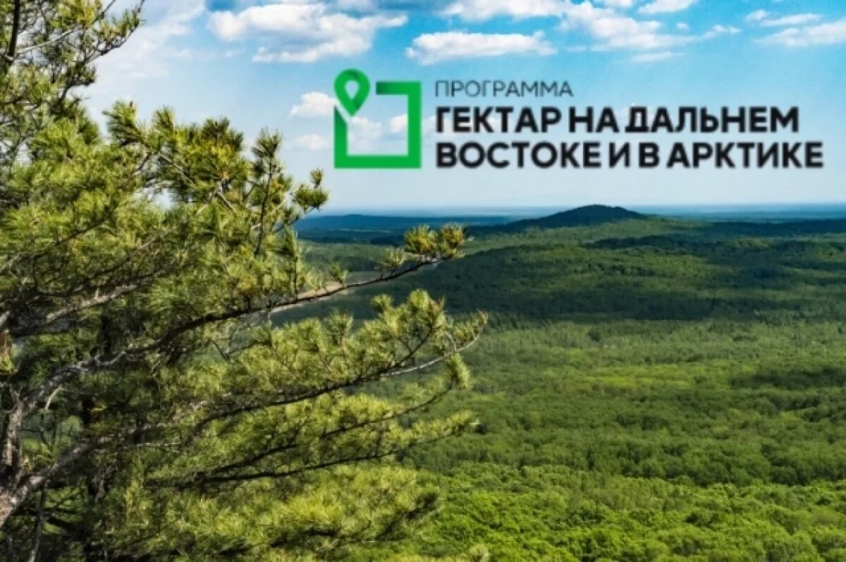    800 гектаров земли в Хабаровском крае перешли в частные руки