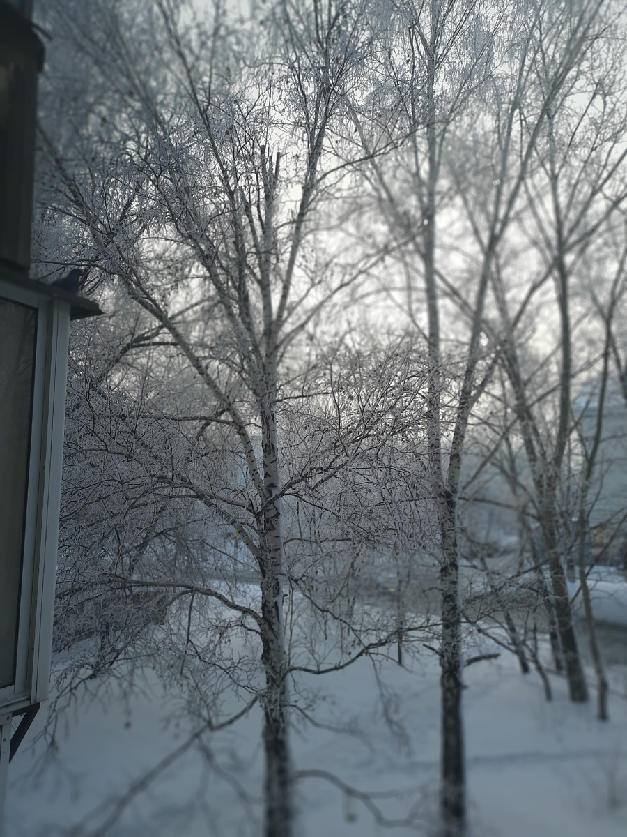 Утро из окна