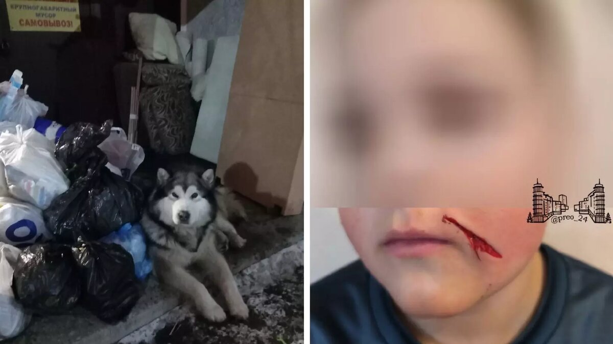     Источник: «Преображенский Красноярск», t.me