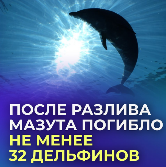 Информационная безопасность. Скрытие фактов. Скрытие фактов. Хелп картинка для презентации. Скрытие фактов.