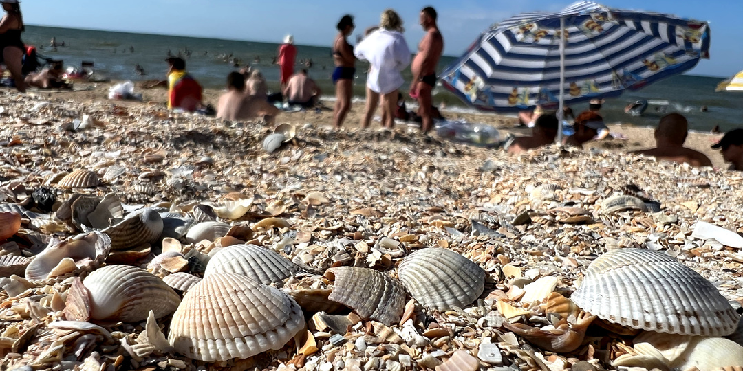 Станица с морем, в которую почему-то не спешат переезжать. Что не так с Голубицкой?