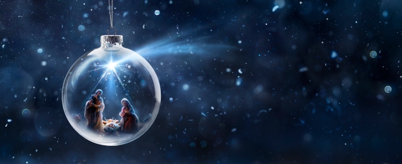    Фото: Romolo Tavani/shutterstock