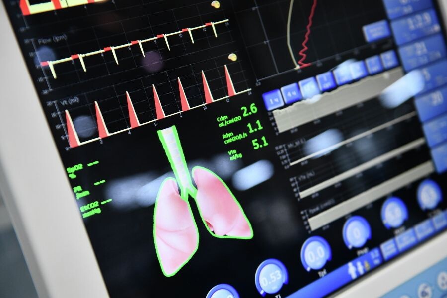     / Источник: © Павел Лисицын/РИА Новости