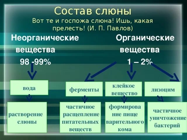 Вот те и госпожа слюна!!! Ишь, какая прелесть! И.П. Павлов 