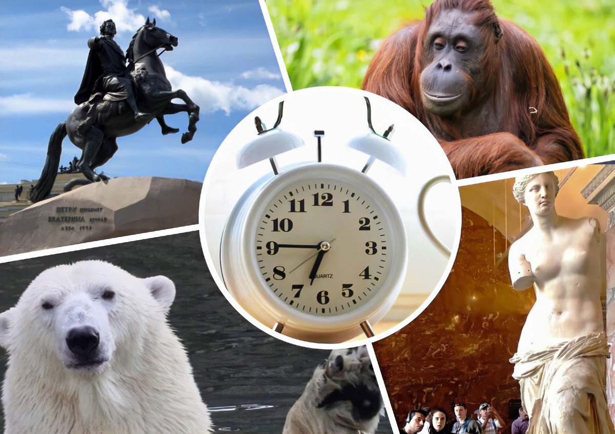 Тест на эрудицию. Насколько широк ваш кругозор?