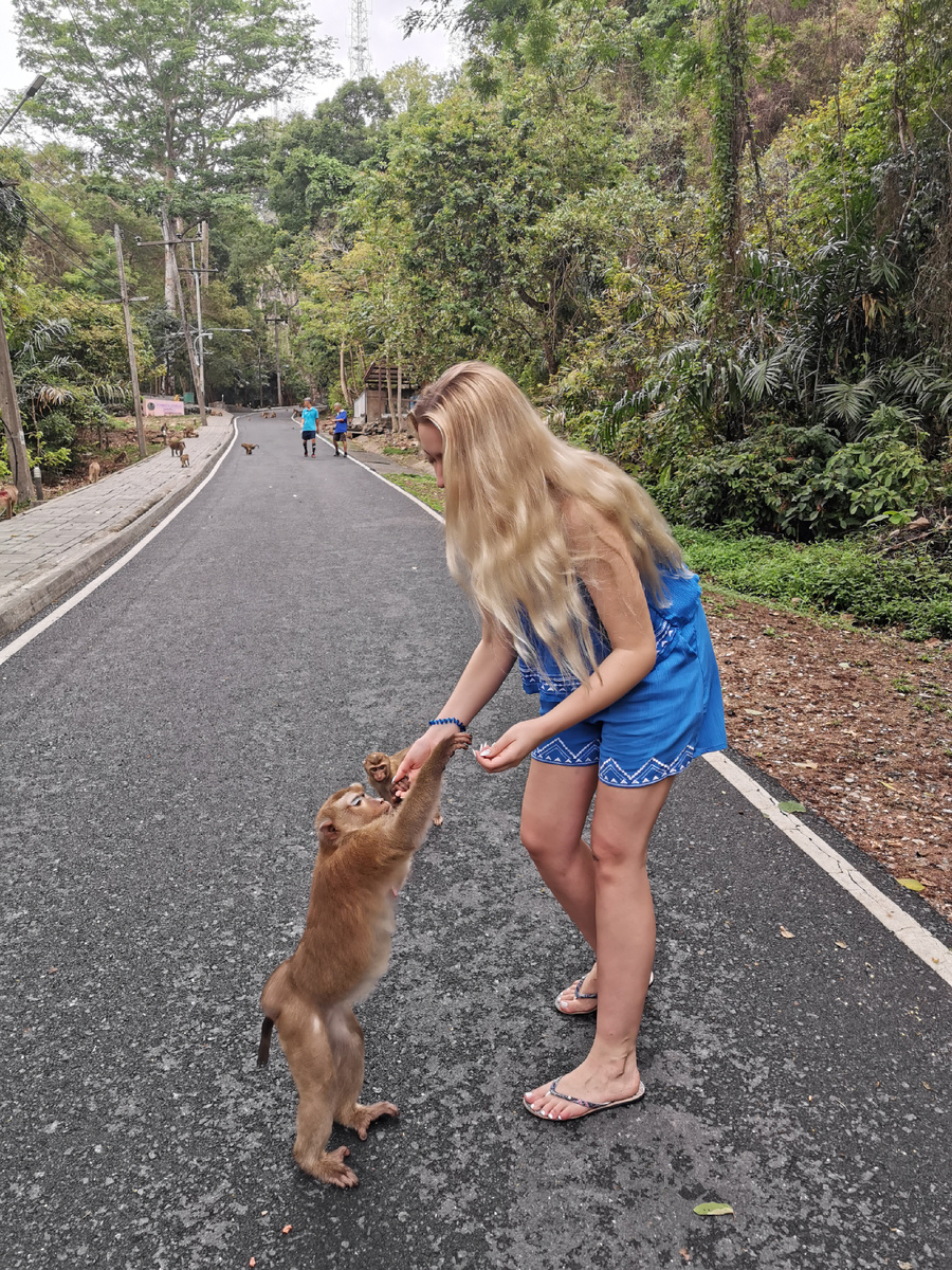 Гора обезьян на Пхукете 