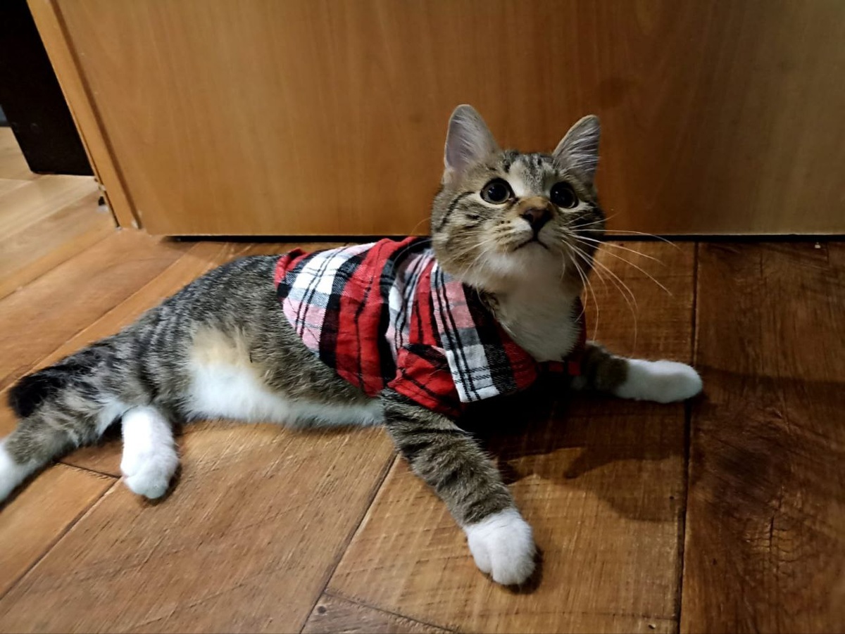 И правда, чудесный малыш!