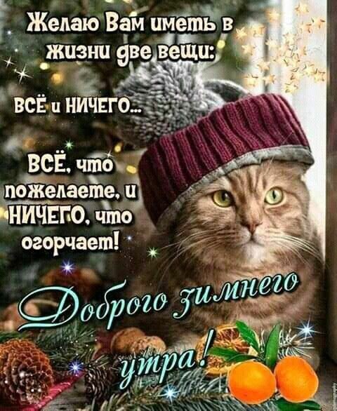 Фото из сети Интернет