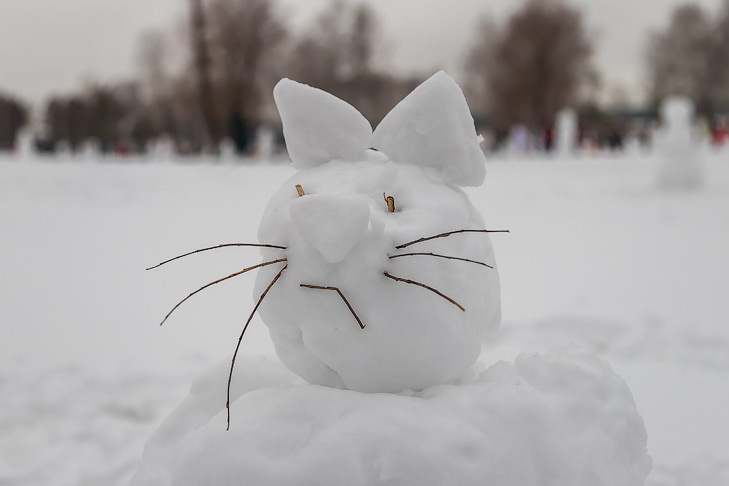    Фото Андрея Заржецкого