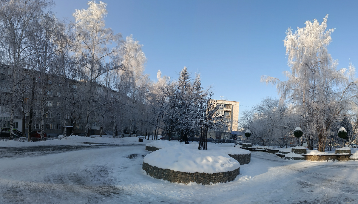 Где-то на просторах моего города. Фотография автора, январь 2025 года. 