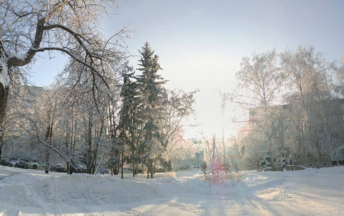 Где-то на просторах моего города. Фотография автора, январь 2025 года. 