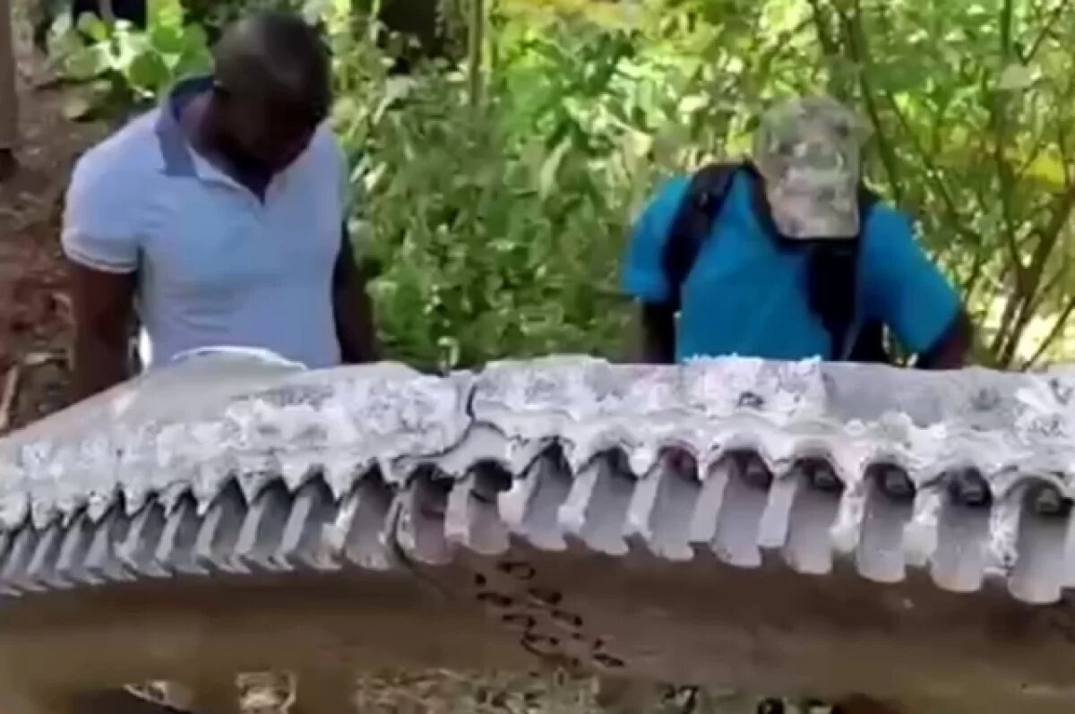 Всё что нашли.  фото: картинки яндекса