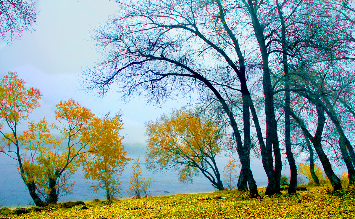 Фотография, стихотворение Василия Глуцкого