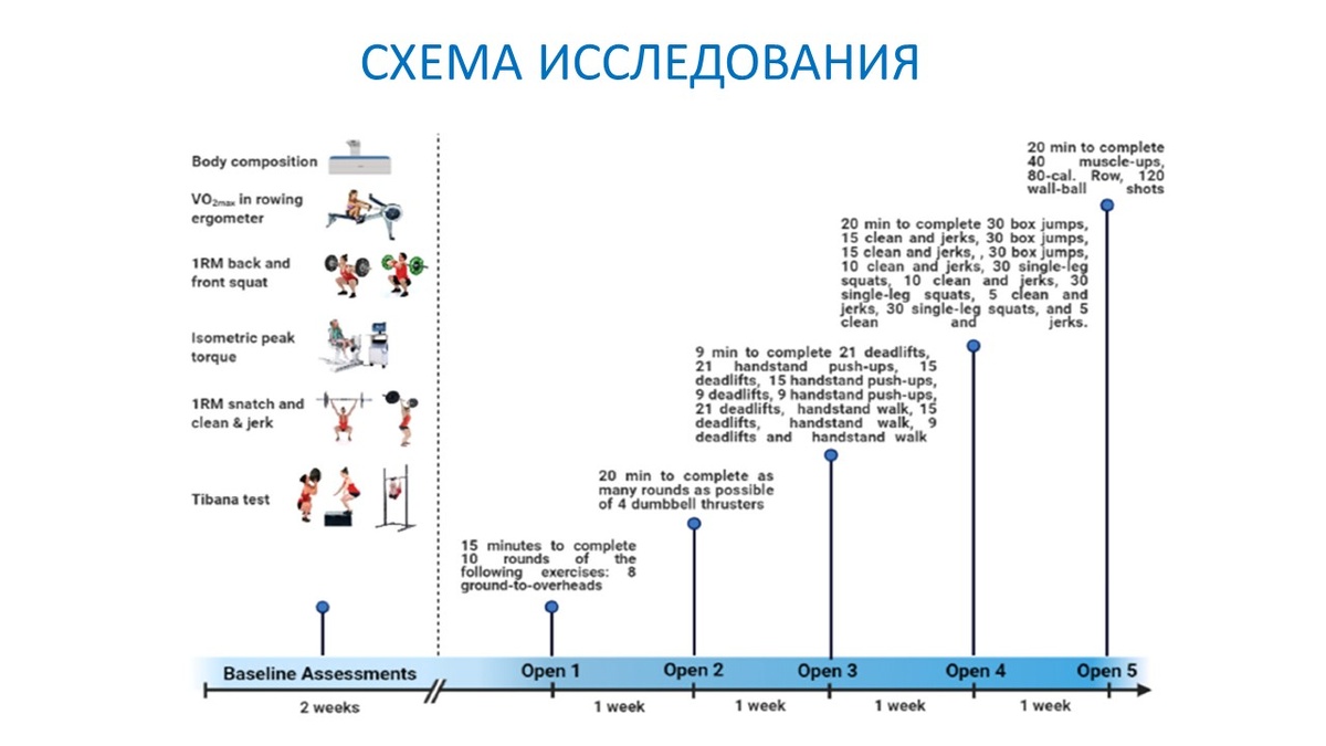Рисунок 1. Общая схема эксперимента.