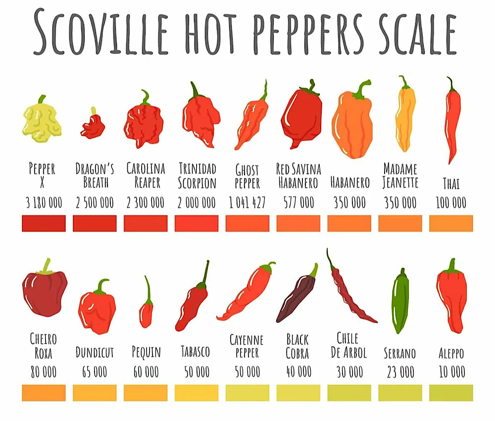 Шкала Сковила