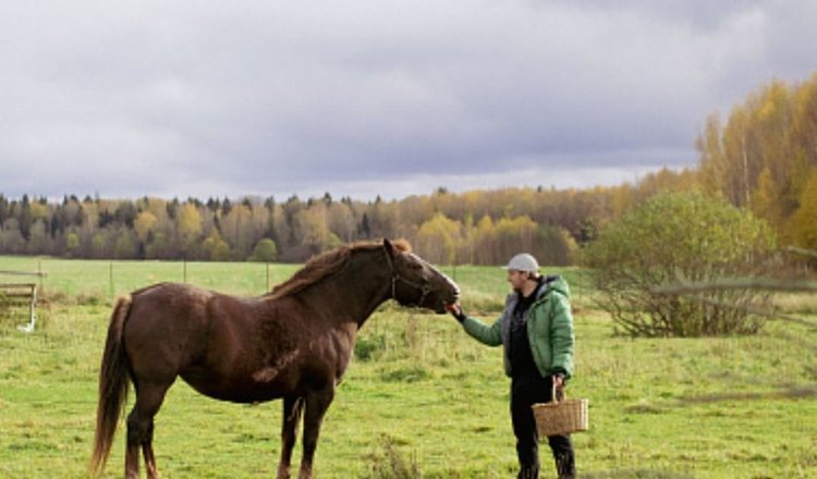    Около миллиона посетителей побывали на созданных при поддержке МСХ РФ объектах агротуризма
