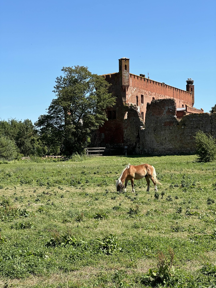 фото из открытых источников интернет