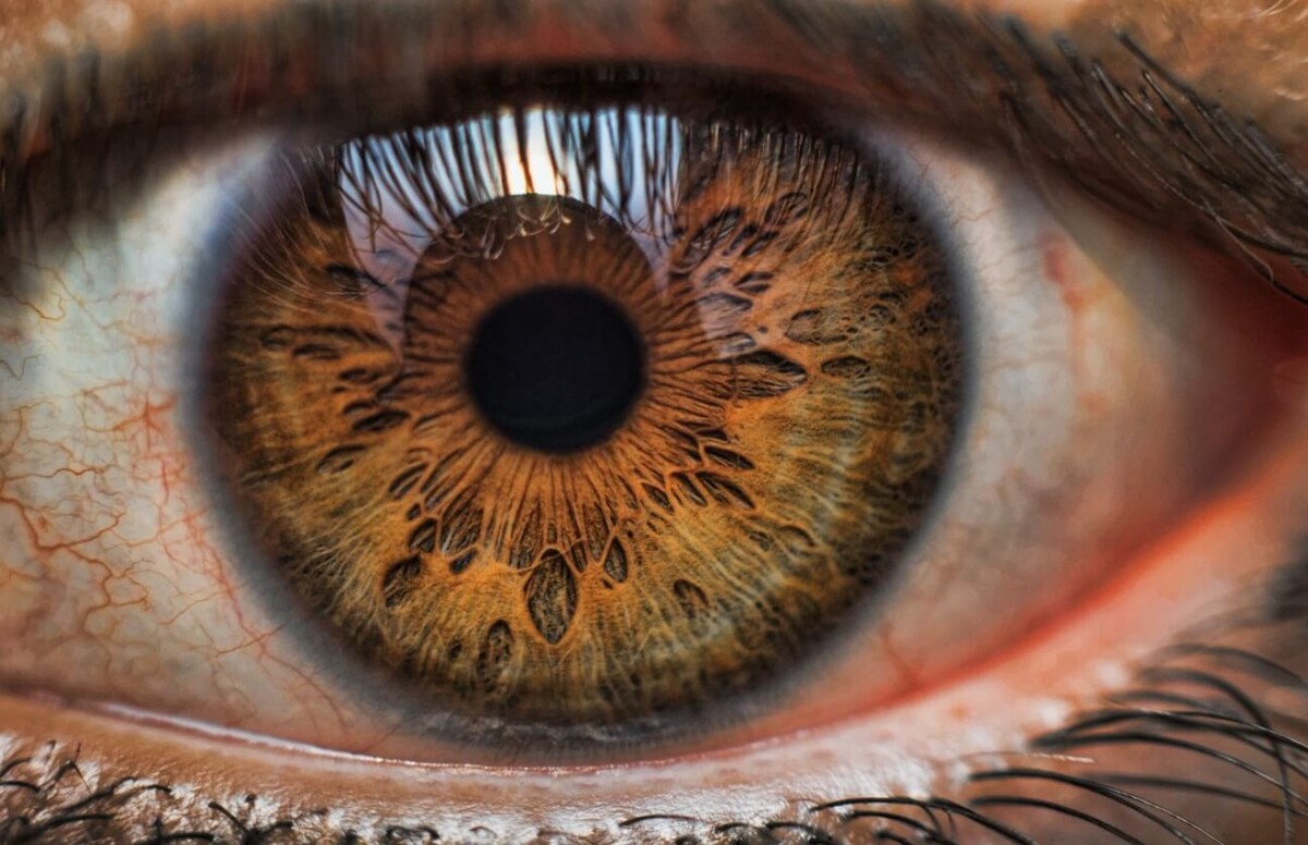    Люди с приобретенной слепотой точно видят визуальные сны. Источник изображения: dzen.ru