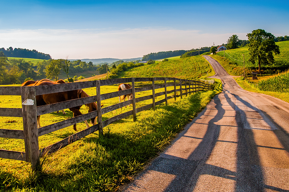     Фото: ESB Professional/Shutterstock/FOTODOM В 2006 году город Тамака в Пенсильвании стал первым в США, который признал права природы в границах муниципалитета. Позднее его примеру последовали многие другие регионы