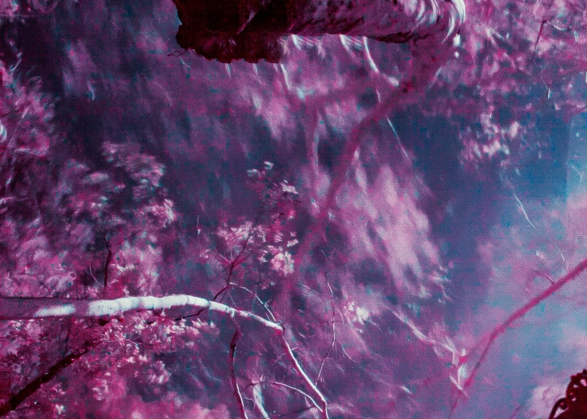 Фото: Jr Korpa с сайта unsplash.com