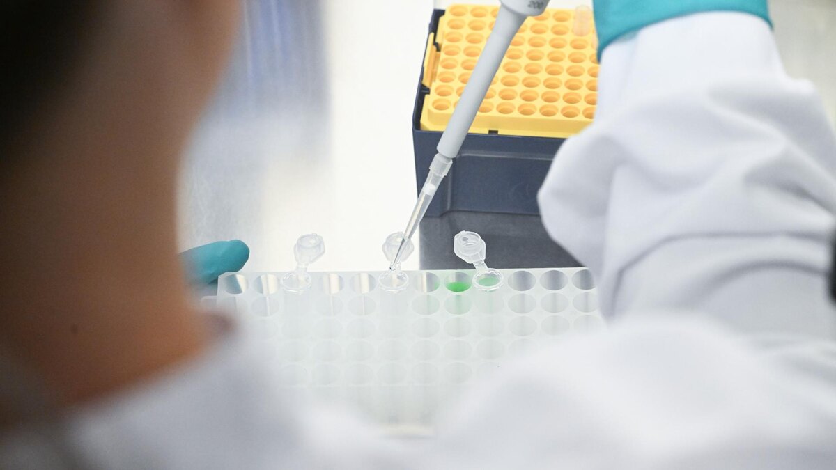 Фото: Bernd/dpa/globallookpress.com