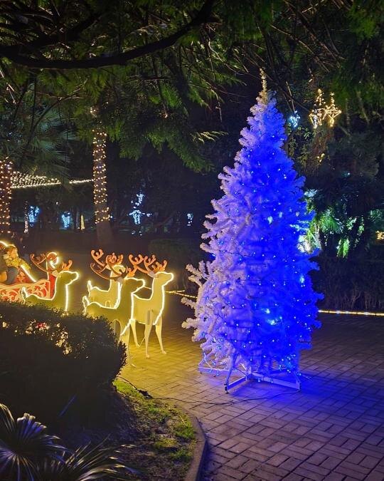 В парке Нового Афона