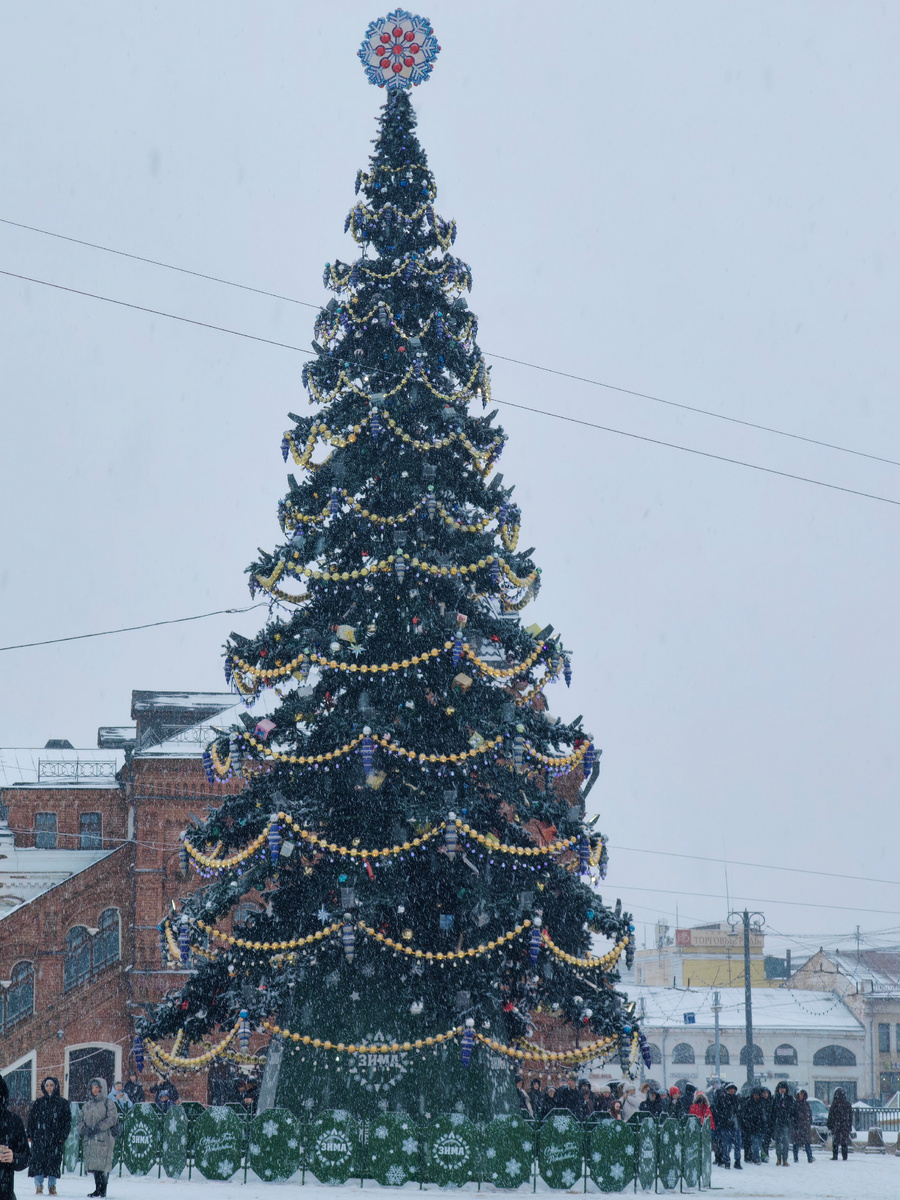Фото автор, красавица ёлка 
