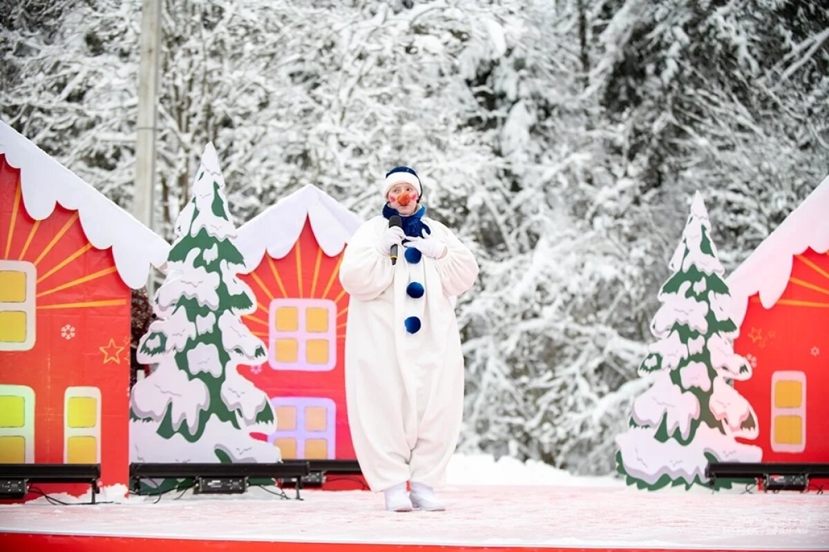    Финны объяснили, зачем топят в реках новогодние ели