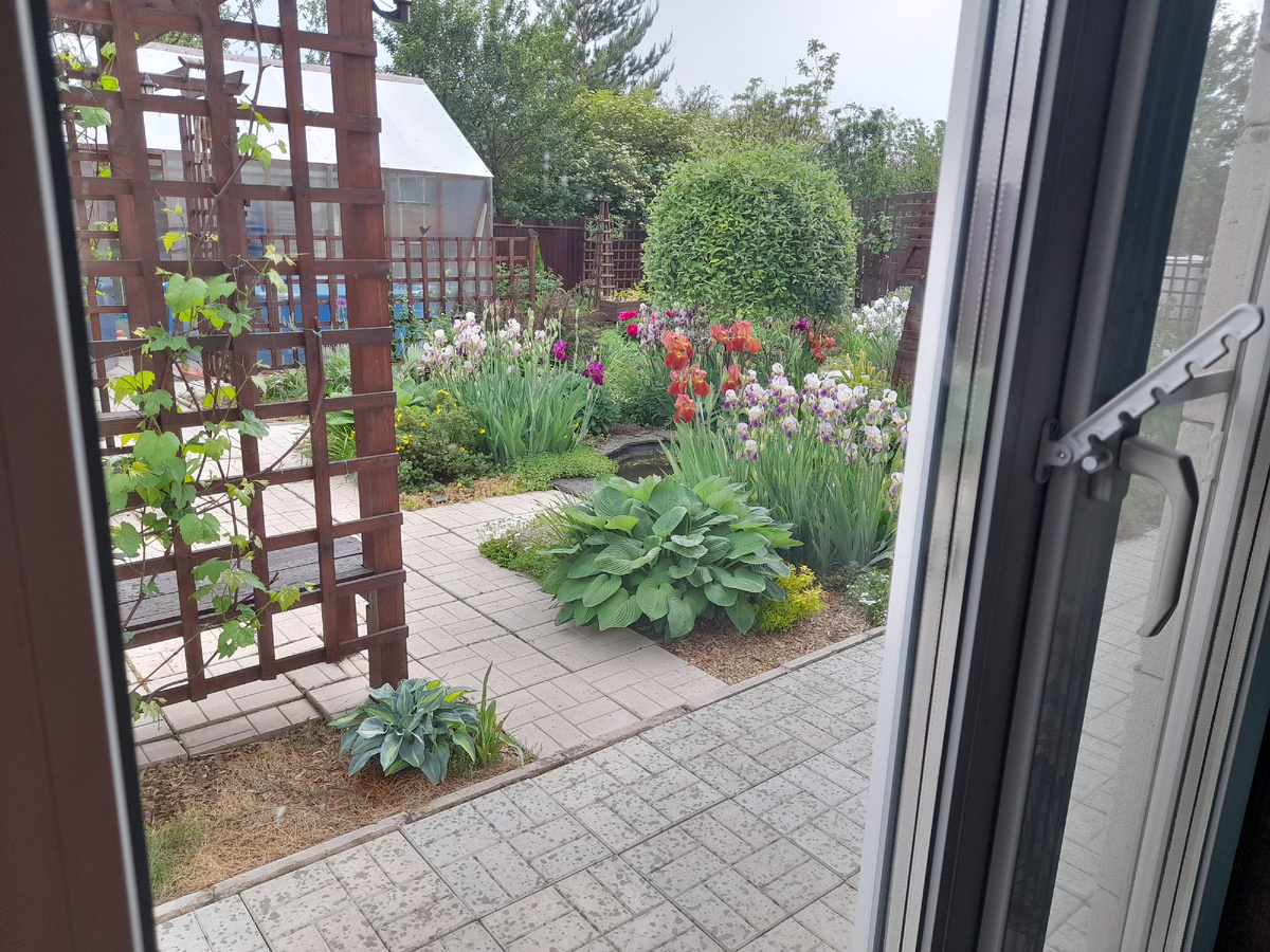 Вид из окна кухни-гостиной