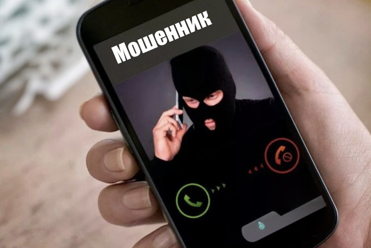 Коллаж автора. 
