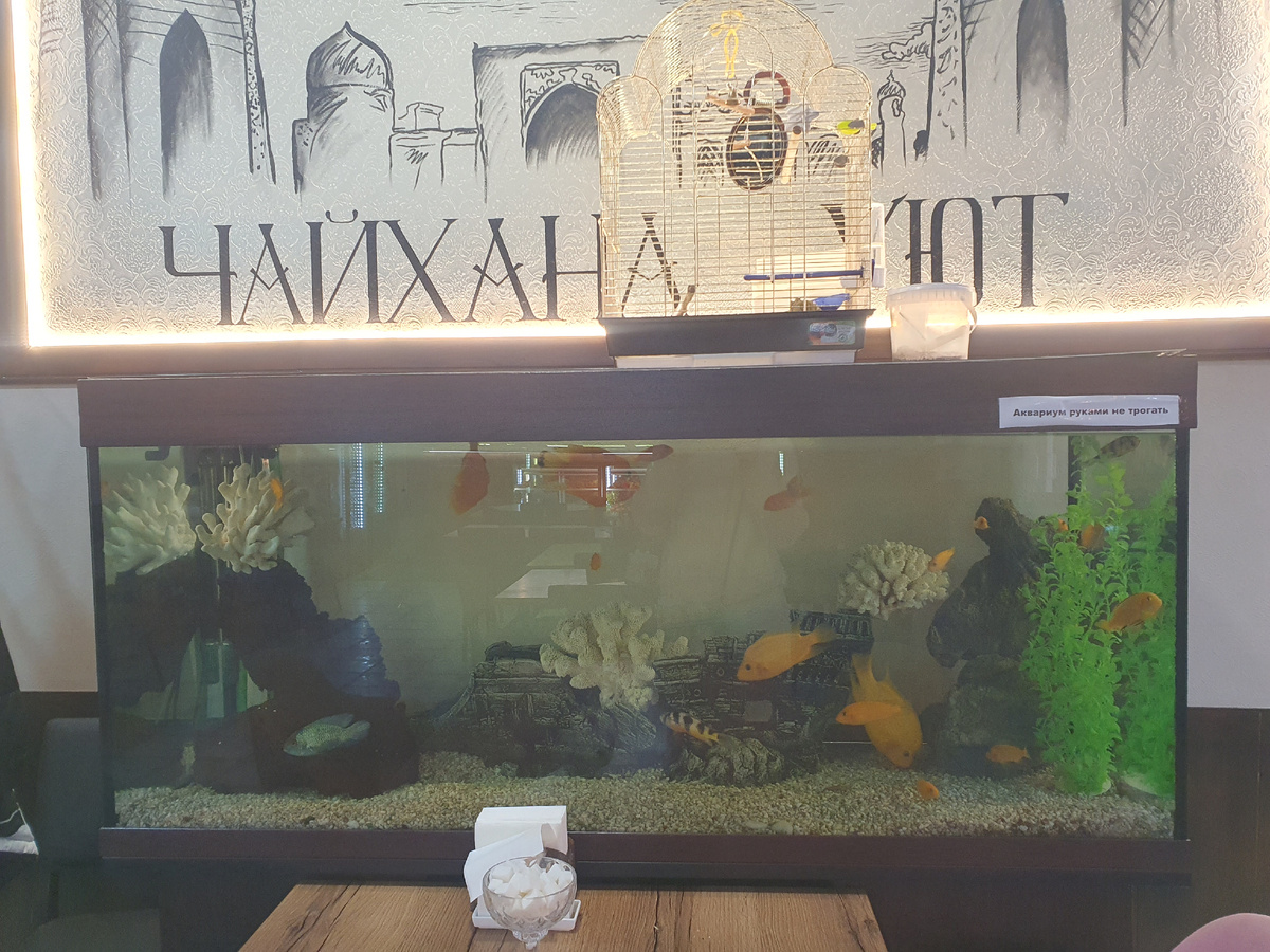 Чайхана "Уют"