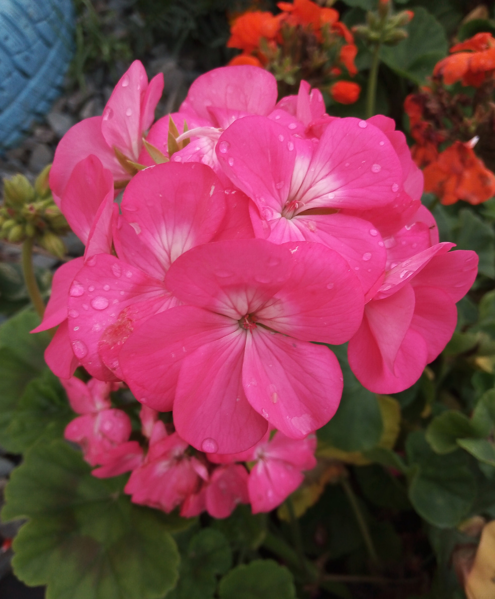 Фото из личного архива автора. 