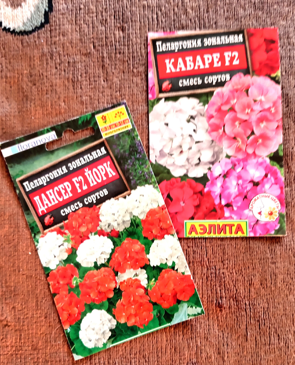 Фото из личного архива автора. 