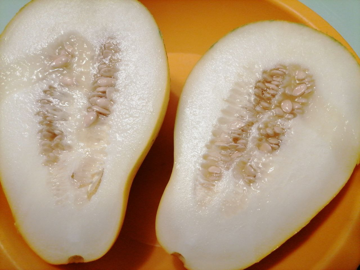 Дыня Сережкина любовь, созрела, но ни того аромата, ни того вкуса нет, плюс рыхлая мякоть, фото автора