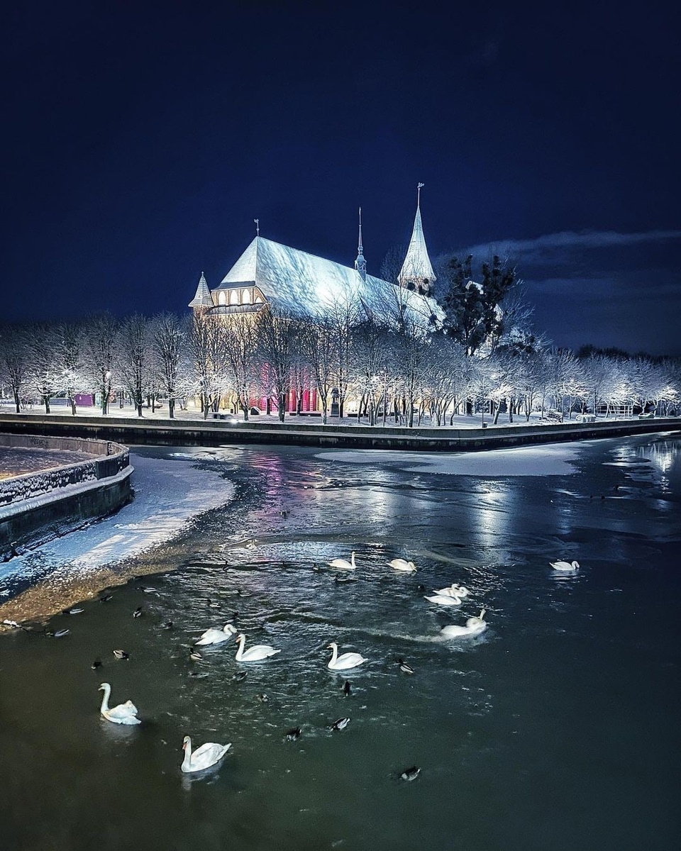 Калининград. Остров Канта зимой. Фото из открытых источников.