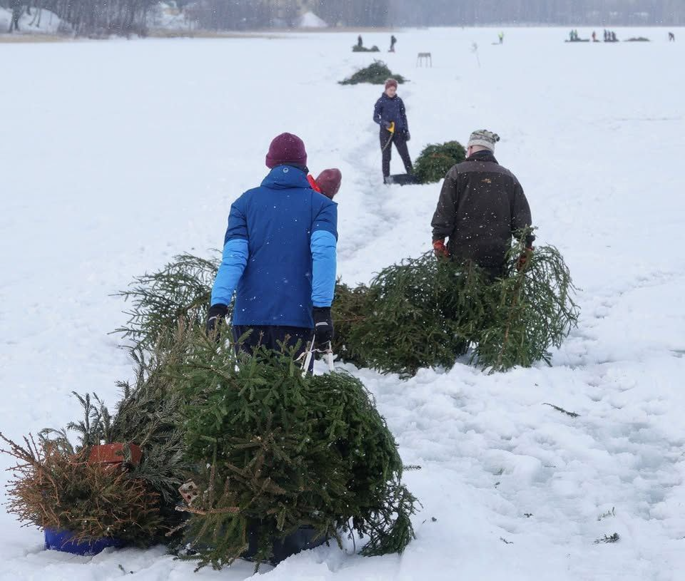 Источник новости и фото: https://t.me/pitlive/15266