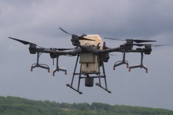    Фото с сайта smotrim.ru