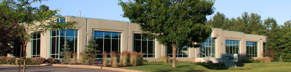 Фото с первой страницы сайта DLGL