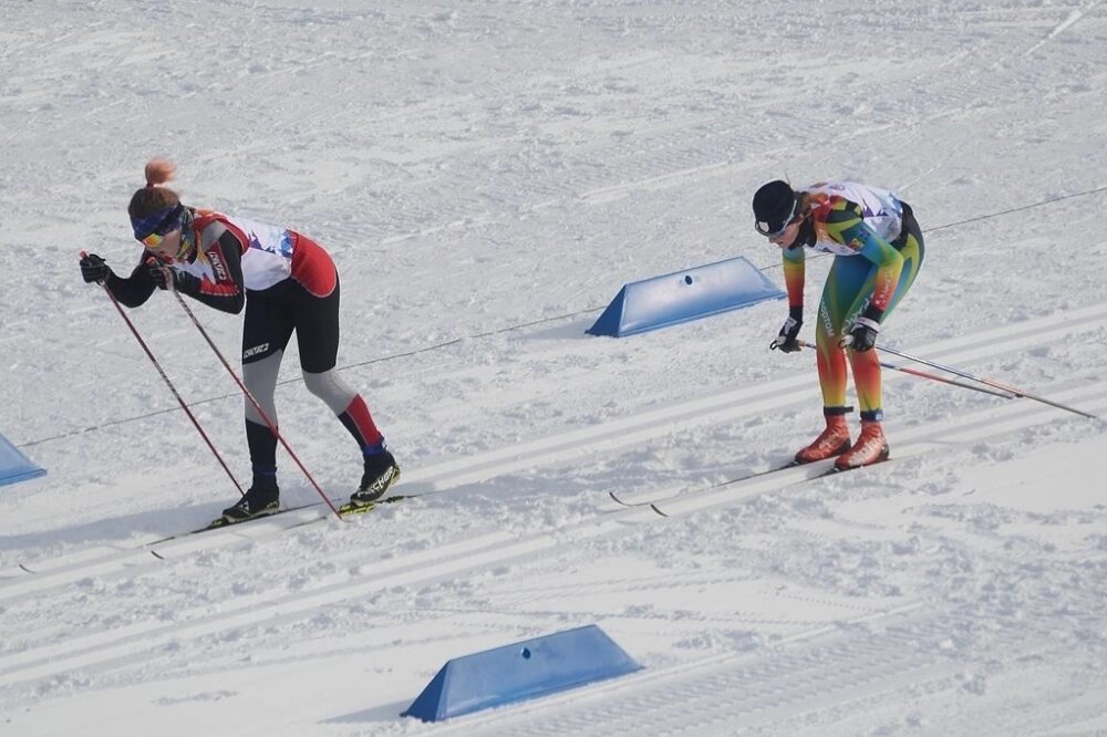    Фото:  АиФ/ Виктор Шубин