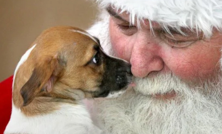 Яндекс.картинки для обложки